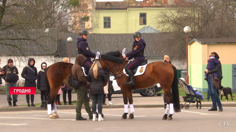 В Гродно прошёл парад ко Дню белорусской милиции – участвовал конный экипаж-1