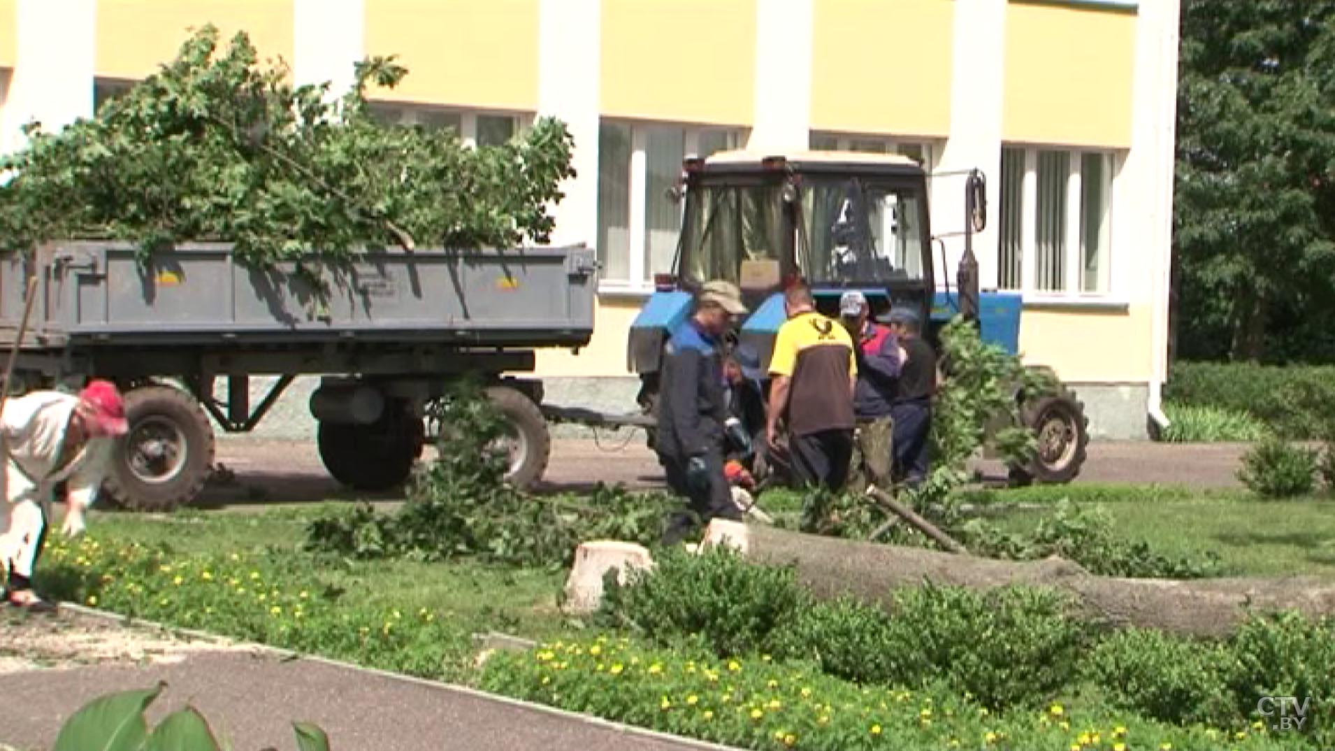 В Беларуси ожидаются грозы и ливни, объявлен оранжевый уровень опасности-1