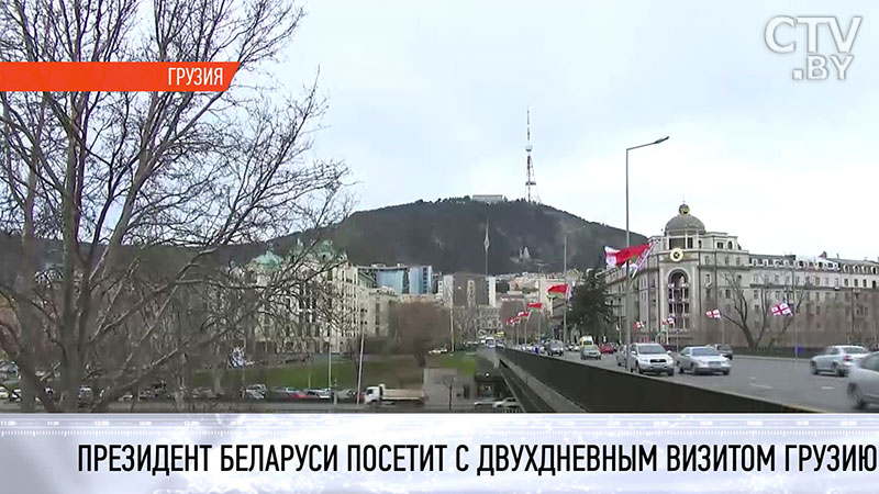 Александр Лукашенко поздравил президента Грузии с Днём Независимости