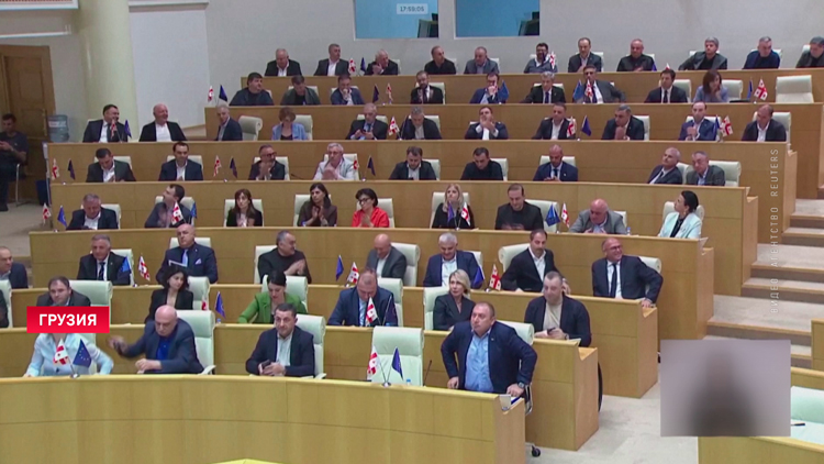 Парламент Грузии преодолел вето президента на закон об иноагентах