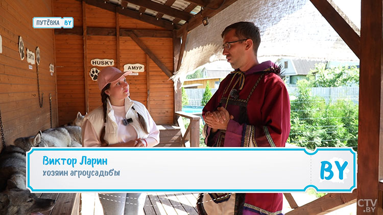 Сибирская банда разбивает сердца. Где можно побывать на хаски-терапии?-1