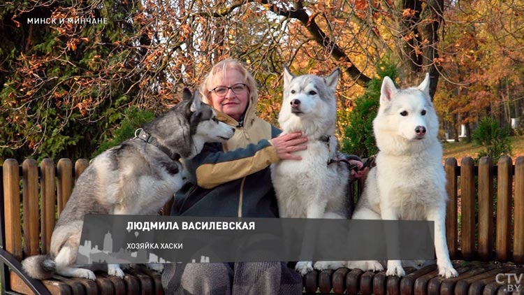 Эти хаски стали фотозвёздами! Пообщались с минчанами, которые обучили своих питомцев необычным трюкам-4