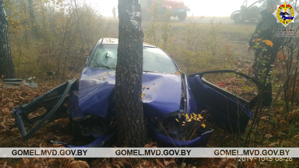 В Чечерском районе Honda врезалась в дерево. Водитель погибла-1