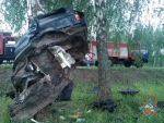Volkswagen вылетел с трассы в Хотимском районе, машину буквально намотало на дерево
