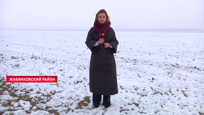 Поля не терпят промедления. В хозяйствах Беларуси уже готовятся к весенним работам-1