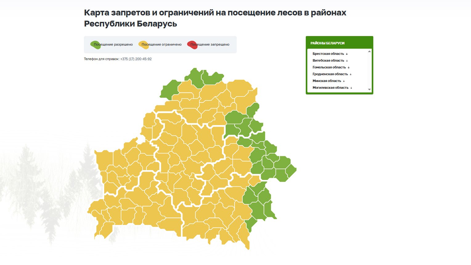 Посещение лесов разрешено в 26 районах РБ, в остальных введены ограничения-2