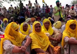 В Индии тысячи женщин 8 марта присоединились к протестам фермеров