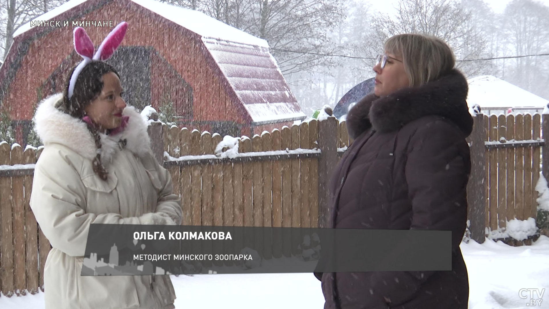 Одна крольчиха за год может принести до сотни крольчат. Интересные факты о символе 2023-го-1