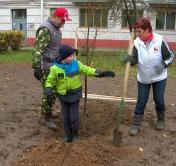 Инвентарь и саженцы выдадут. В Минске продолжается субботник, поучаствовать в акции можно до 15 ноября