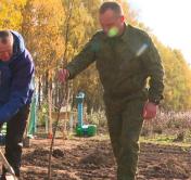 «Зачем нам завозить яблоки по импорту». Анатолий Исаченко принял участие в закладке сада в Пуховичском районе