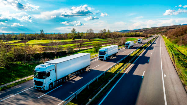 ГПК: въезда в Литву и Польши ожидают больше 1100 фур