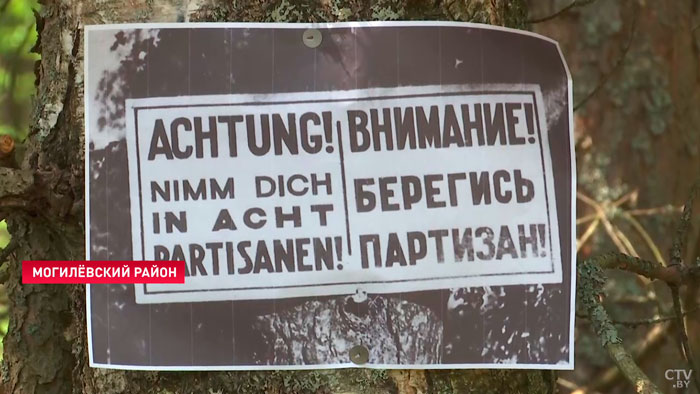 Эхо войны. Какие артефакты белорусы до сих пор находят в огородах?-10