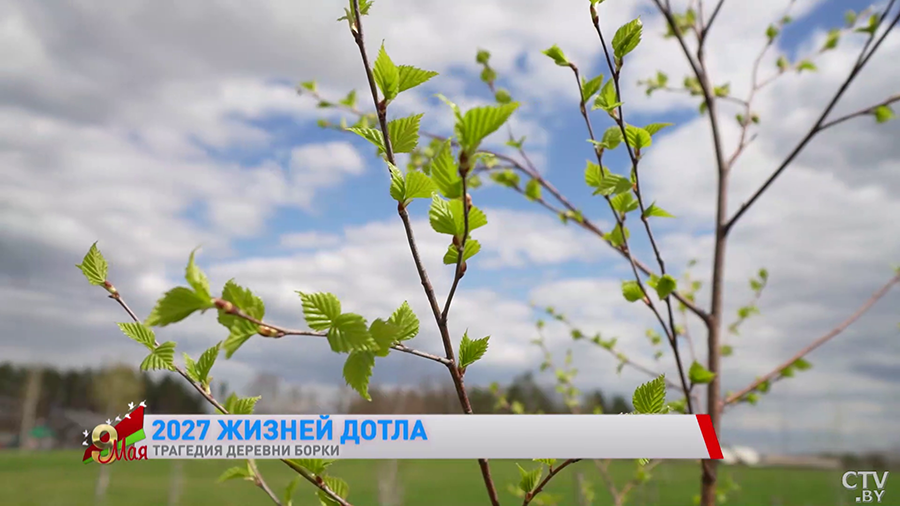 «Каратель встал на кровать и методично расстреливал девочек». Жуткая история уничтожения деревни Борки-25