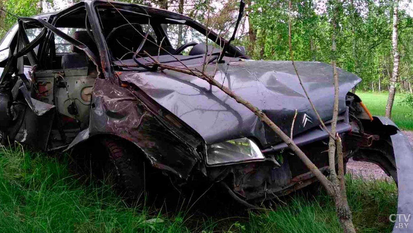 В Пуховичском районе легковой автомобиль сбил лося. В аварии пострадал мужчина-1