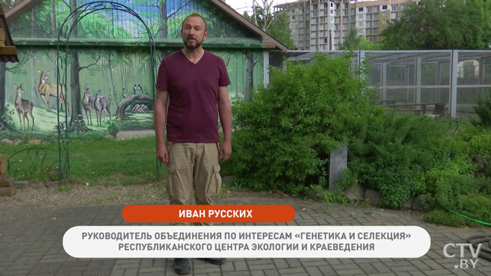 Как подогреть воду для полива эффективно? Советует Иван Русских-1