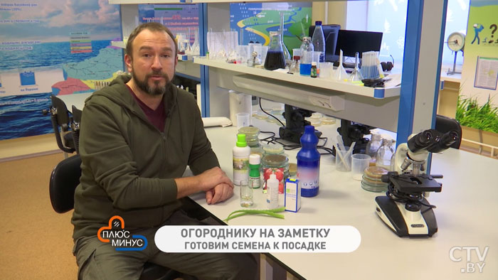 Как бороться с медведкой и кротом. Рецепт на чесноке и кошачьем наполнителе от Ивана Русских