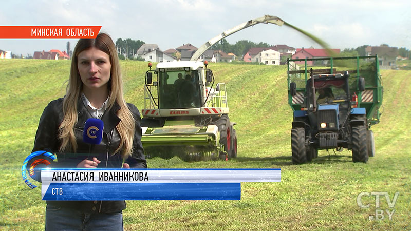 Какими деликатесами питаются бурёнки, и в чём секрет  заготовки кормов? Репортаж СТВ из передового белорусского хозяйства-17