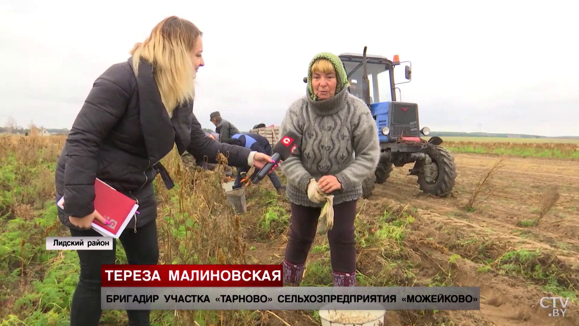 Белорусская селекция не уступает импортной. В «Можейково» рассказали, почему именно из их свёклы нужно готовить селёдку под шубой-19