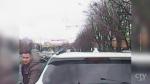 Подозреваемый в избиении водителя маршрутки на Орловской заключён под стражу