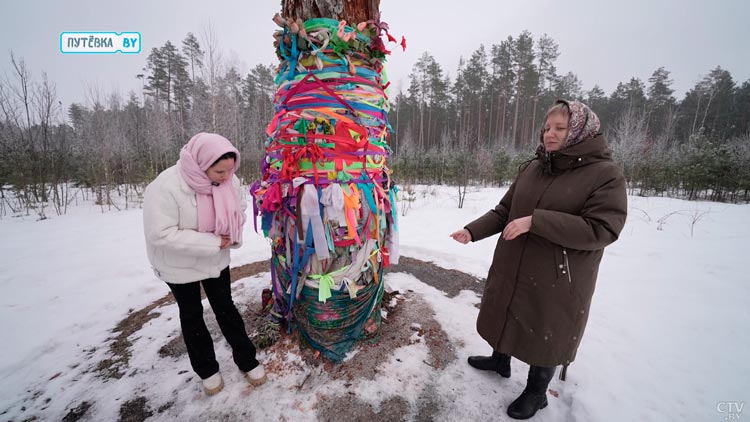 Кто придёт к этому дереву, может излечиться даже от онкологии. Какие ещё чудеса происходят в Избийском бору?-10