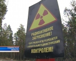 Хойники: Под видом работы по программе преодоления последствий аварии на ЧАЭС местный агросервис «присвоил» Br222 млн