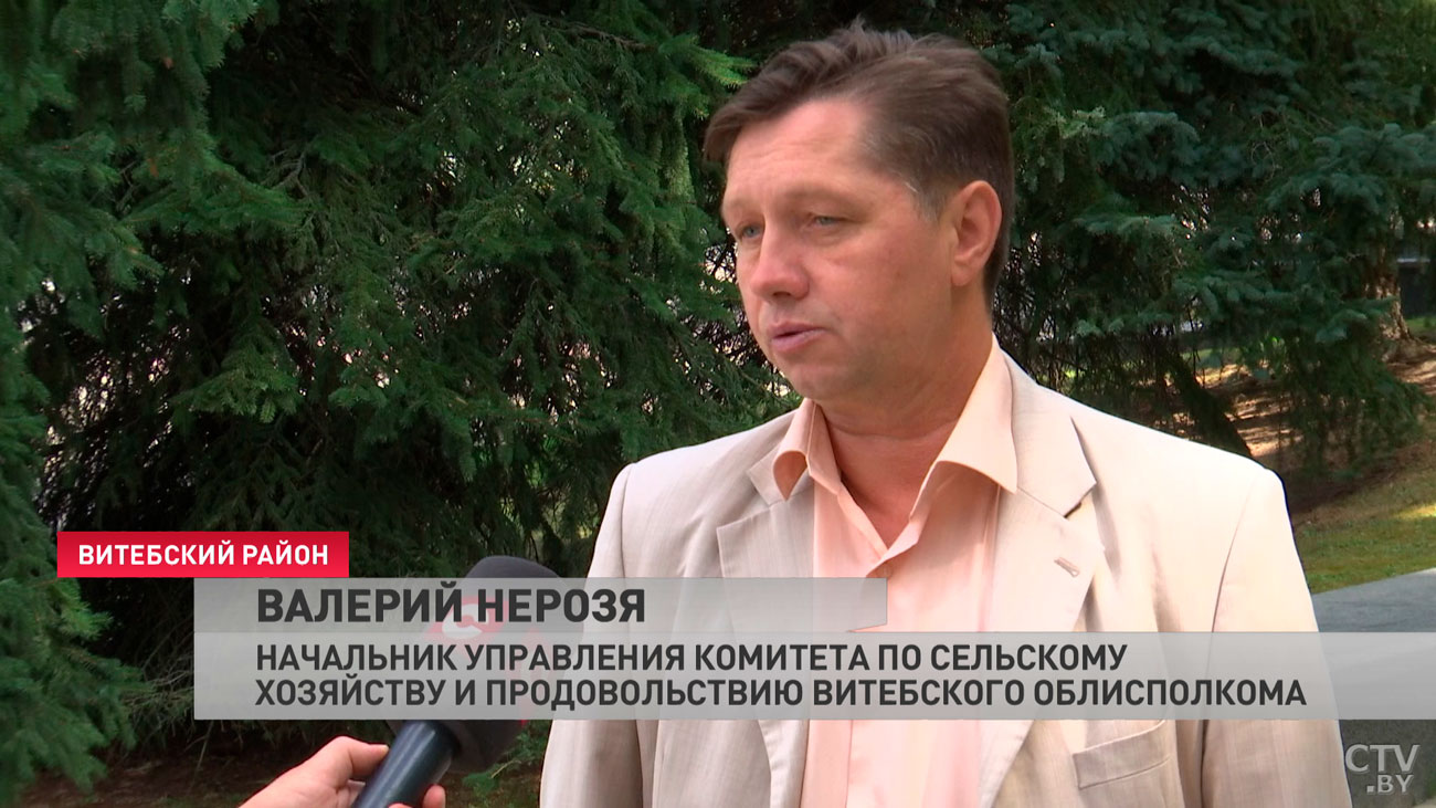 На две недели раньше обычного. К массовой уборке хлеба приступили аграрии Витебской области-7