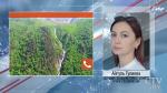 «Привлечён вертолет МЧС России». В Кабардино-Балкарии ищут белорусского альпиниста, сорвавшегося в ущелье