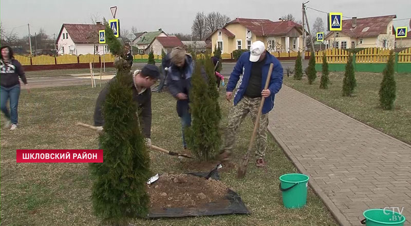 «Привнести какую-то изюминку». В агрогородке Александрия появилась игровая площадка с качелями и тренажерами-1