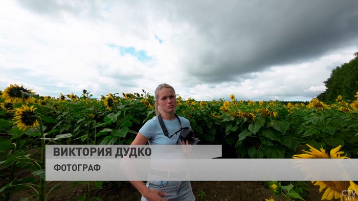 Как сделать самые эффектные кадры в поле с подсолнухами? Советы фотографа-13