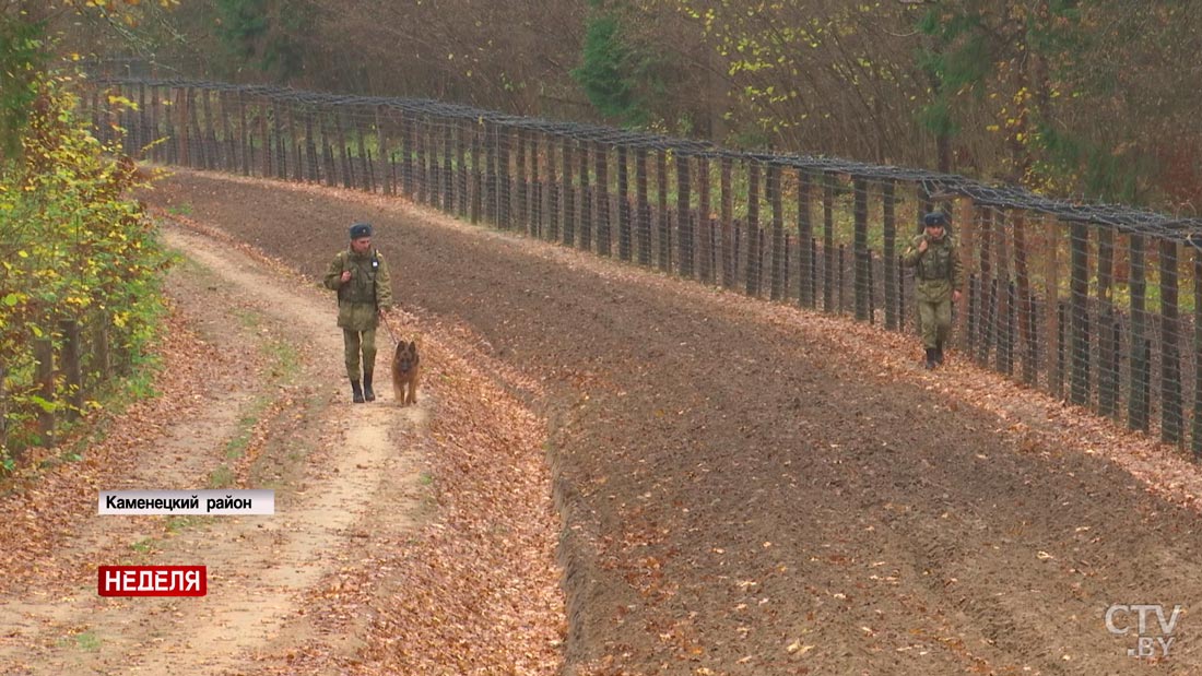 Прочёсывали лес в поисках каратистов из Алжира. Как сотрудники «Беловежской пущи» задерживали правонарушителей-28