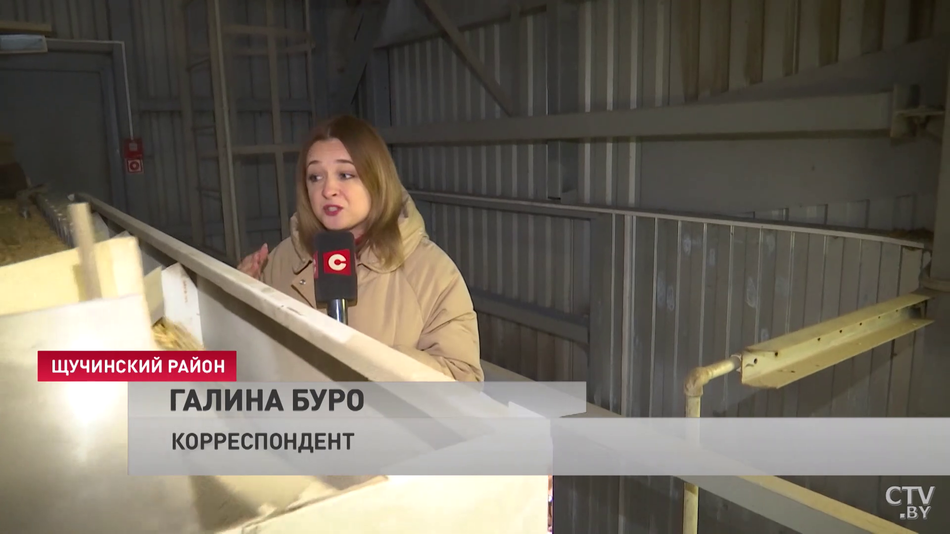 Семена – это основа всего сельского хозяйства. Как готовят зёрна для посева в элитхозе «Василишки»?-7