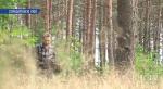 Три простых правила, которые помогут не потеряться в лесу