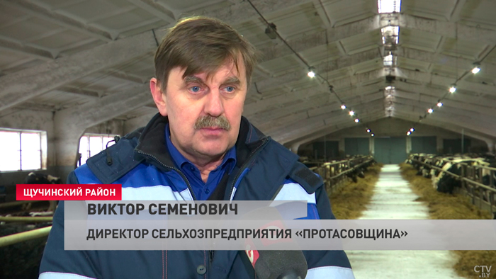 «Вашему вниманию – тёлка, полученная путём трансплантации эмбрионов». В Беларуси разводят коров «из пробирки»-28