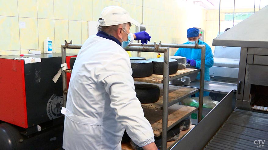 Ему готовят соляные ванны и одевают в латекс. Показываем, как создают сыр на белорусском предприятии-28