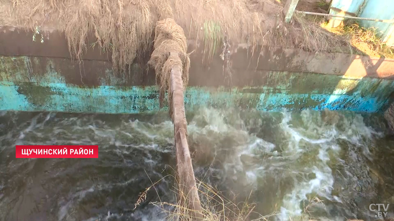 Для мытья используют необычное джакузи с озёрной водой. Как убирают корень валерианы?-22