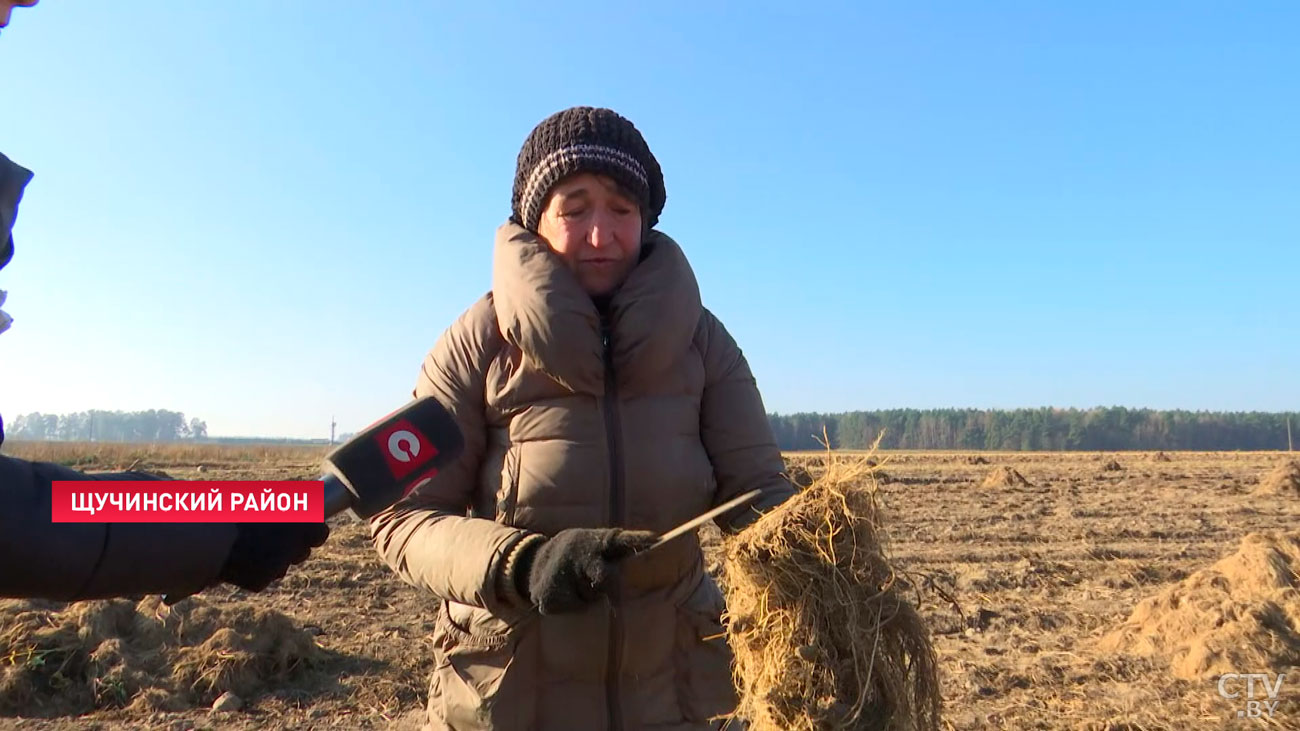 Для мытья используют необычное джакузи с озёрной водой. Как убирают корень валерианы?-1