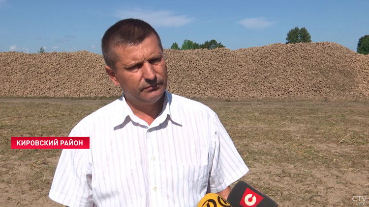 Вложения в отрасль отбились почти десятикратно! Посмотрели, как убирают сахарную свёклу в Беларуси-4