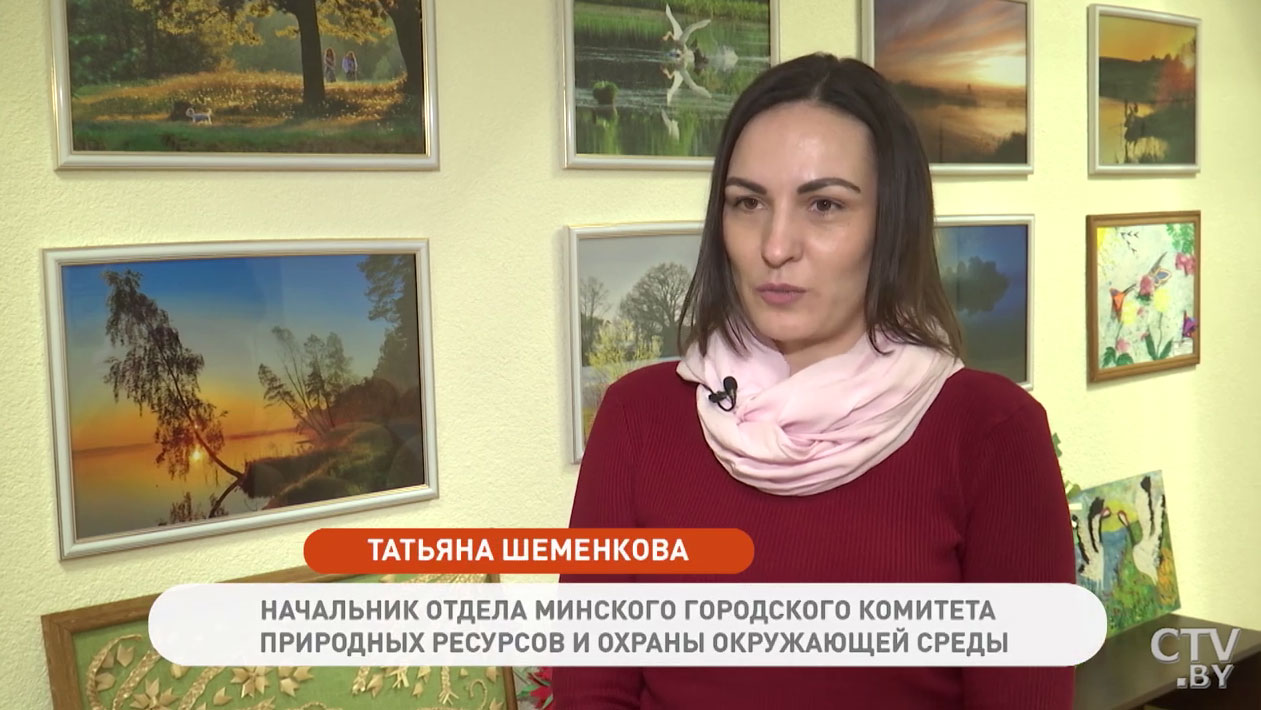 Можно ли самому подрезать деревья на улице? Рассказываем, как это сделать, не нарушая закон-1 Можно ли самому подрезать деревья на улице? Рассказываем, как это сделать, не нарушая закон-1