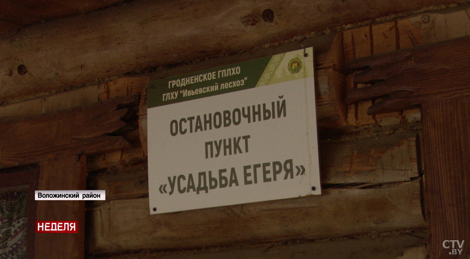 Как вести себя в лесу при встрече с диким животным? Советы егеря-11