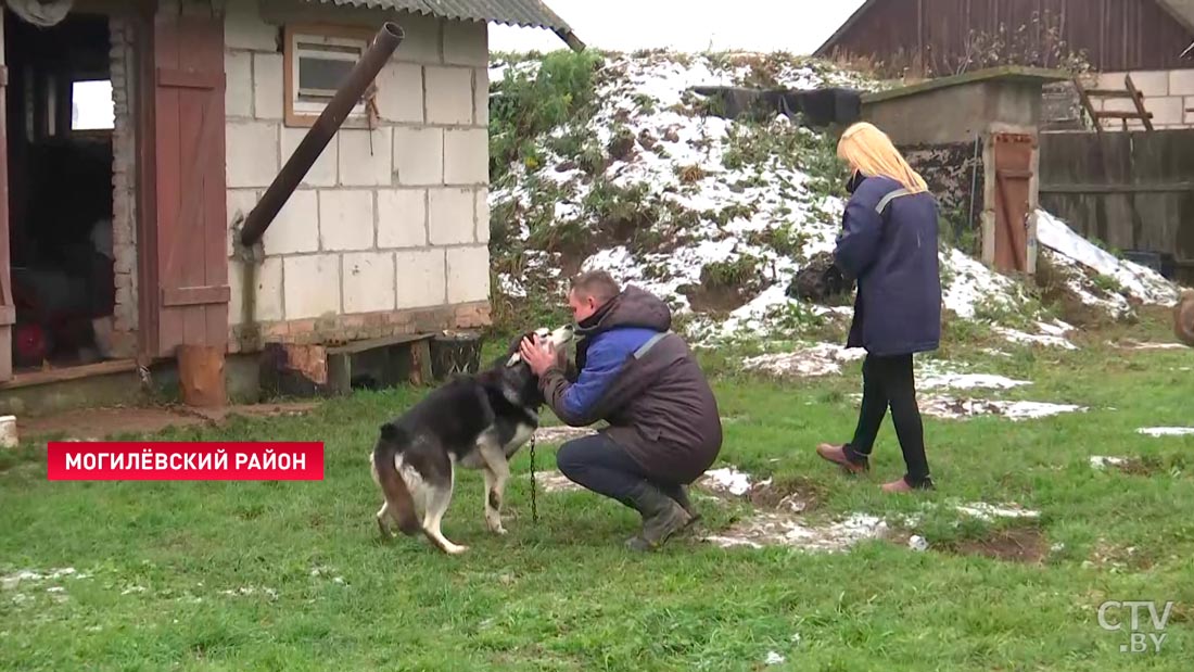 Почему семья одного из лучших механизаторов Могилёвской области решила переехать в деревню?-7