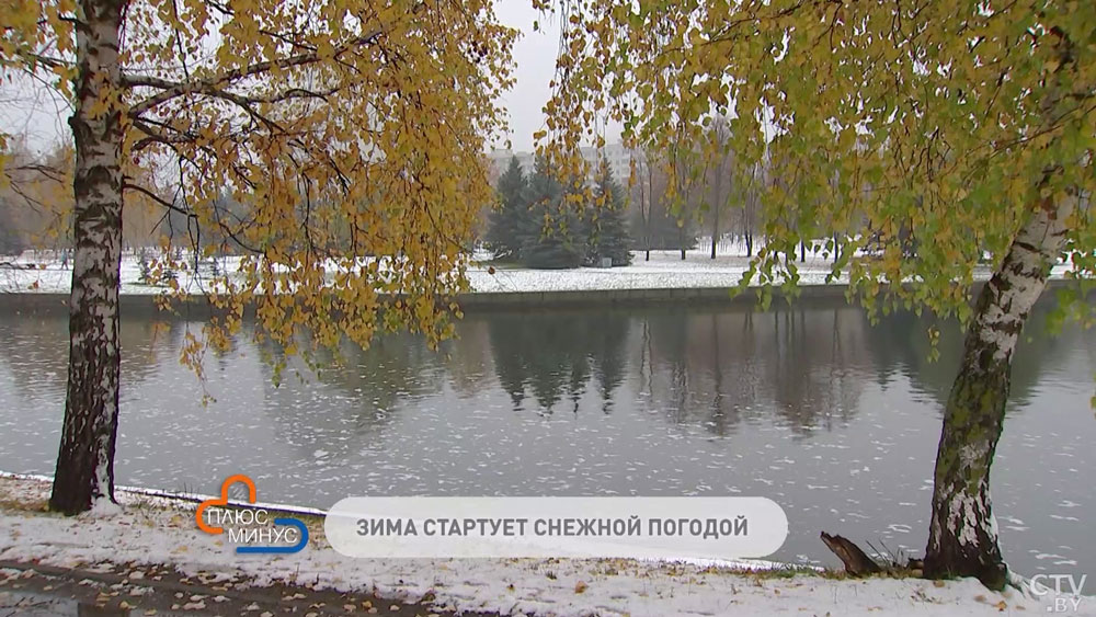 Мокрый снег, туман и до -6°C. Какая погода ожидается в Беларуси в первую неделю декабря?-4