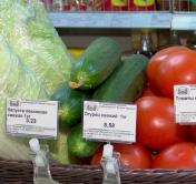 Какие продукты подорожали? Мониторинг цен в Борисовском районе