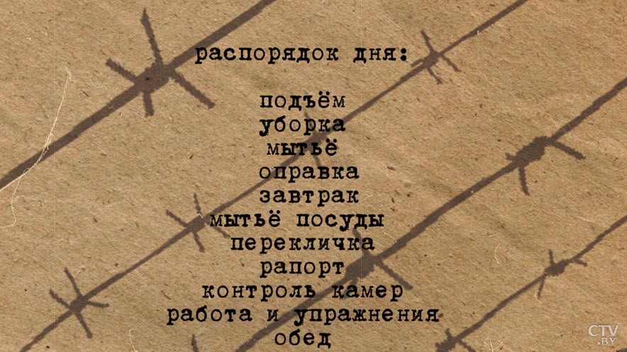 «Заставляли на коленях ползать по битому кирпичу». Какие пытки придумывали для заключённых в концлагере в Берёзе?-22