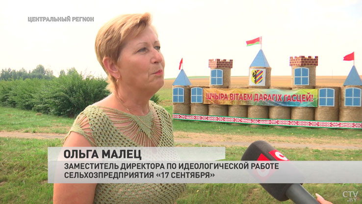 Посвящены нашему любимому городу. Вот какие соломенные композиции украсили поля к 800-летию Несвижа-10