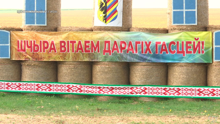 Посвящены нашему любимому городу. Вот какие соломенные композиции украсили поля к 800-летию Несвижа-13