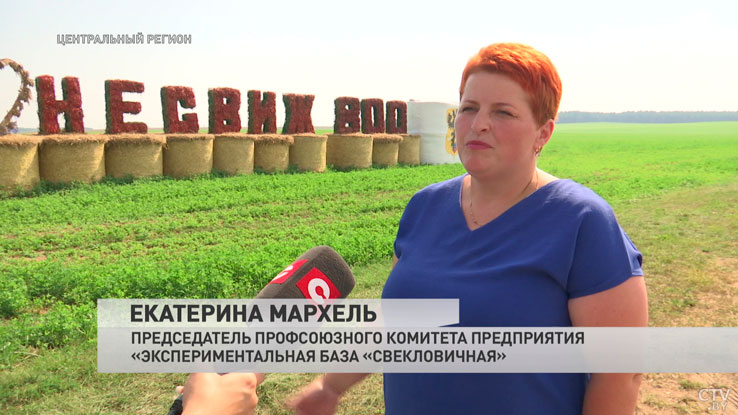 Посвящены нашему любимому городу. Вот какие соломенные композиции украсили поля к 800-летию Несвижа-22