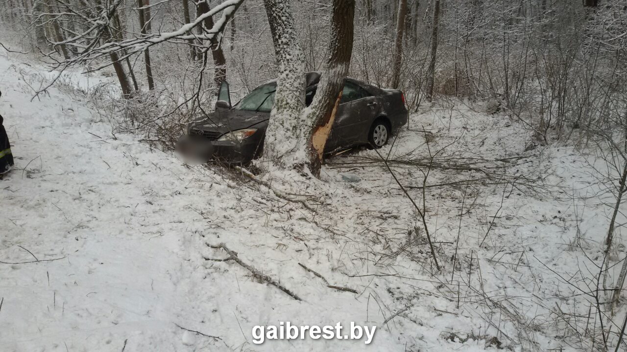 В Каменецком районе Audi въехал в остановку-1