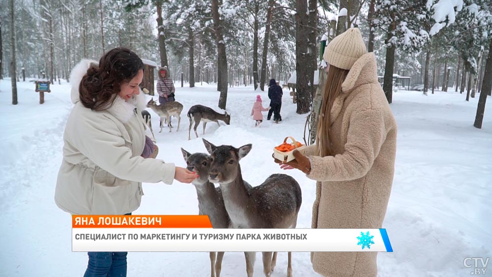 Куда поехать на новогодние каникулы? Гайд по самым запоминающимся местам Беларуси-25