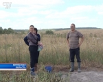  В Лепельском районе неизвестные выкопали 1,5 тонны картофеля