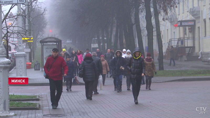 Дороги в Беларуси превратились в каток. Что говорят коммунальщики, синоптики и ГАИ-7